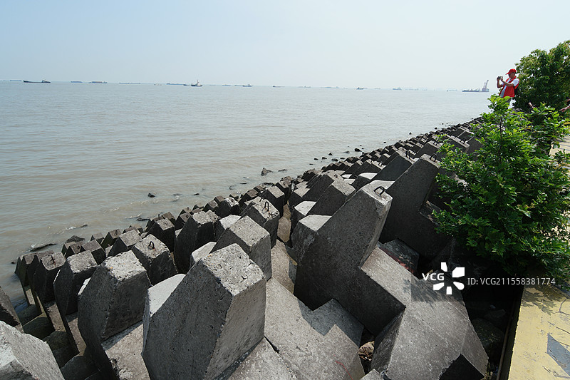 上海吴淞炮台湾湿地公园海堤图片素材