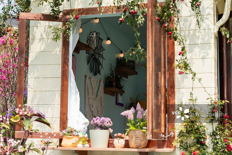 透过打开的窗户可以看到一个摆满植物和灯光的温馨小屋图片素材