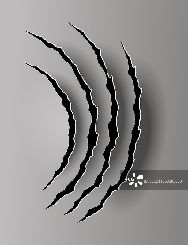 熊或老虎的爪痕和撕裂痕迹图片素材