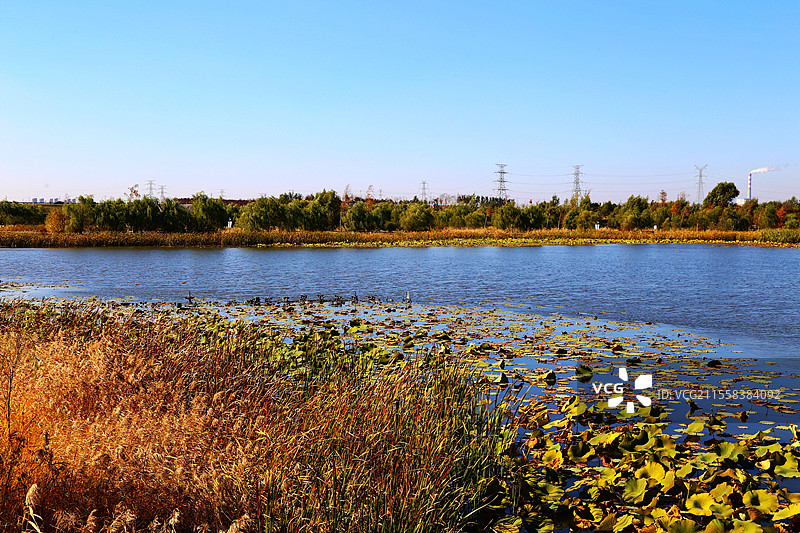长春北湖湿地公园美丽的秋色图片素材