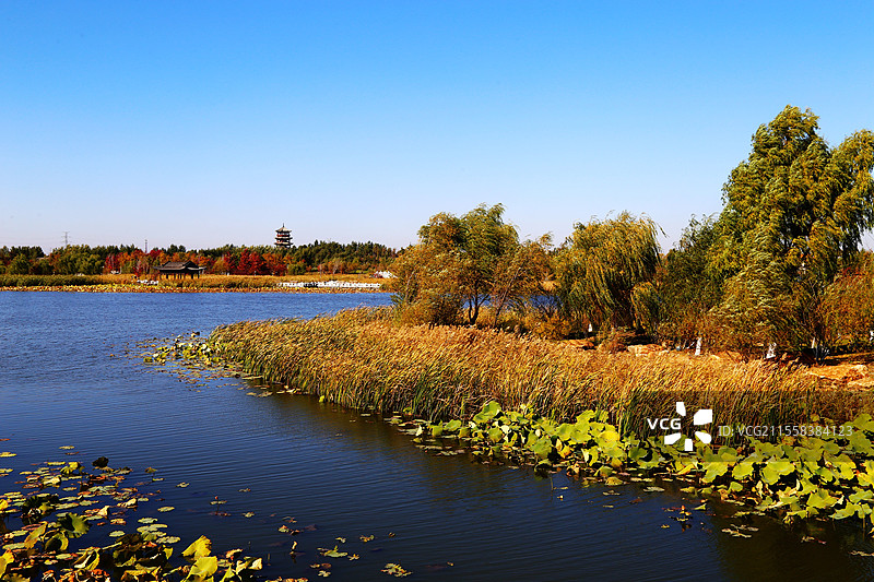 长春北湖湿地公园美丽的秋色图片素材
