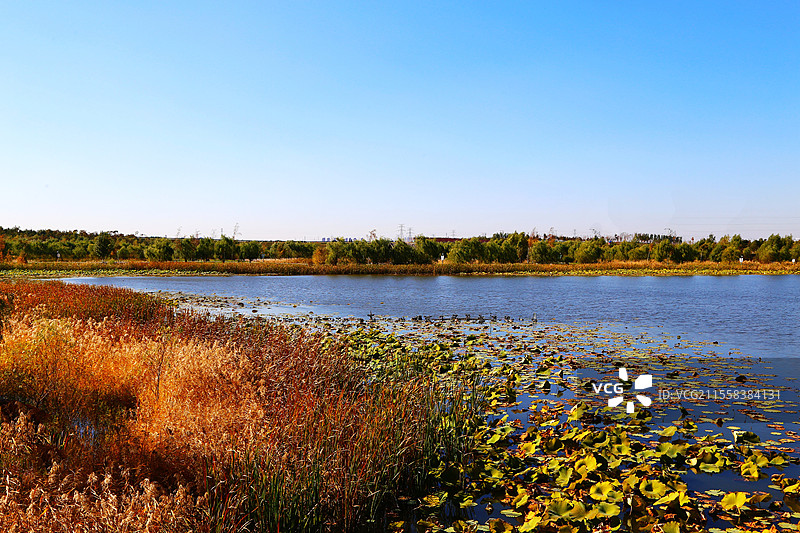 长春北湖湿地公园美丽的秋色图片素材