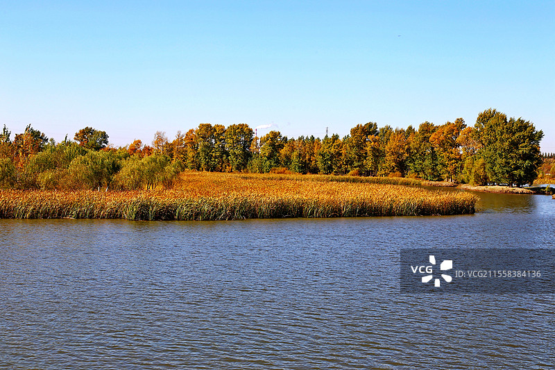 长春北湖湿地公园美丽的秋色图片素材