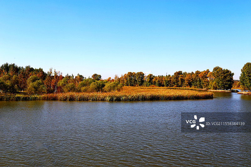 长春北湖湿地公园美丽的秋色图片素材