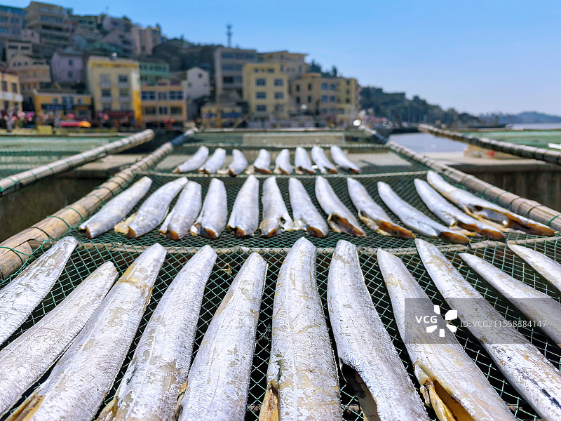 晒带鱼（摄于鸡山岛）图片素材