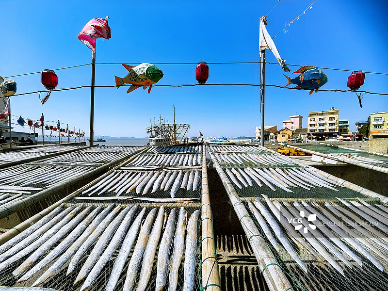 鸡山岛上晒的带鱼图片素材