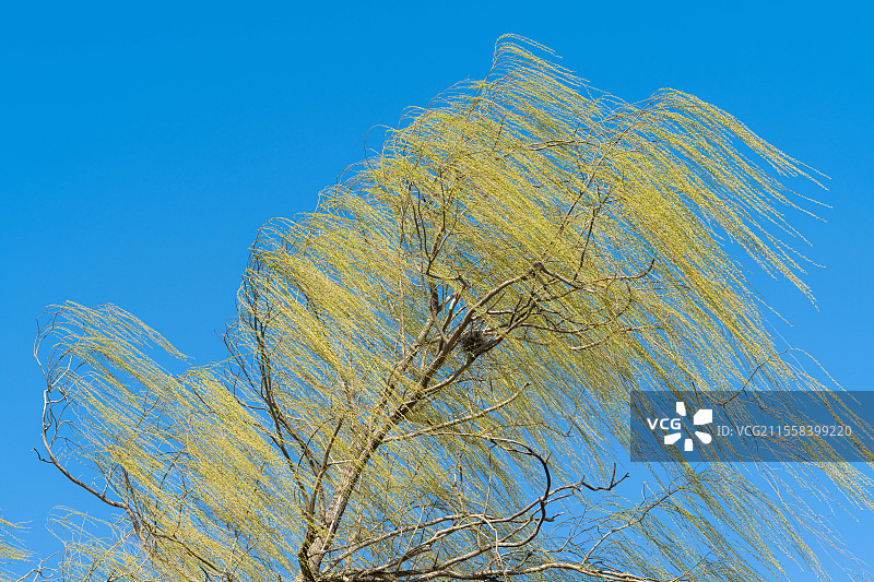 风的形状图片素材