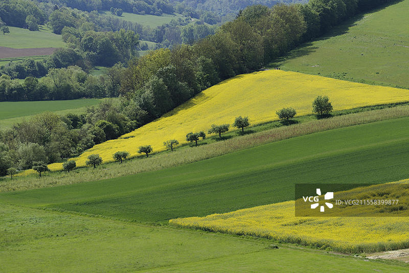 春季的中雅格斯特谷,五月,河谷,雅格斯特河,穆尔芬根,穆尔芬根-海姆豪森,油菜花田,油菜,森林,霍恩洛厄,海尔布隆-弗兰肯,巴登-符腾堡,德国,欧洲图片素材