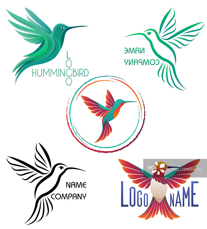 美丽的小蜂鸟时尚标志图片素材