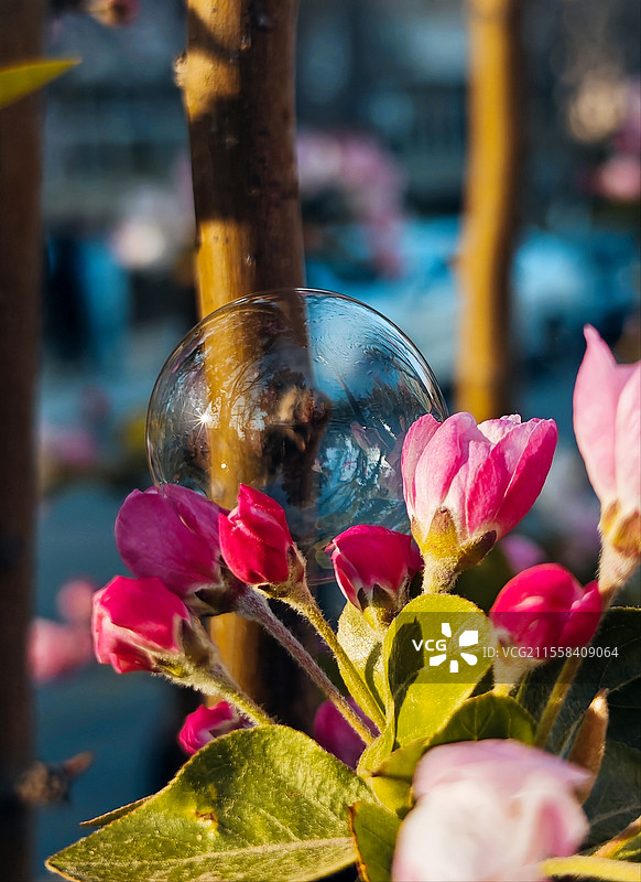 泡泡拥护者图片素材