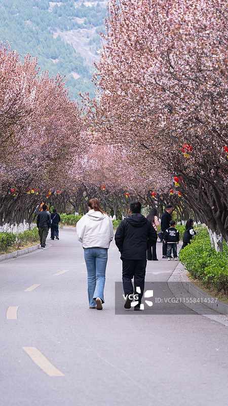 徐州市大洞山的春天图片素材