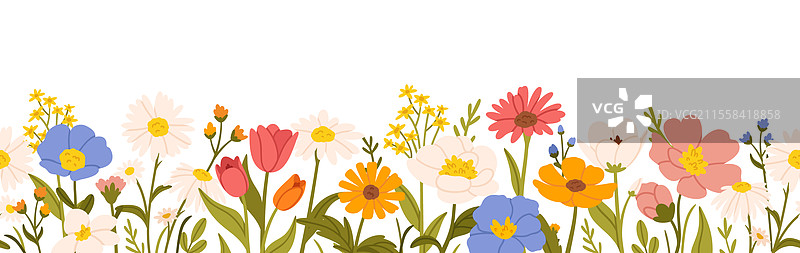 无缝卡通花卉春季花边图片素材