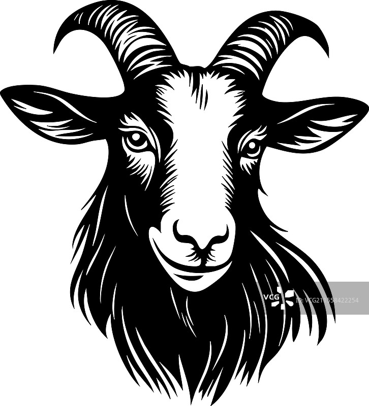详细的山羊头部，突出的角图片素材