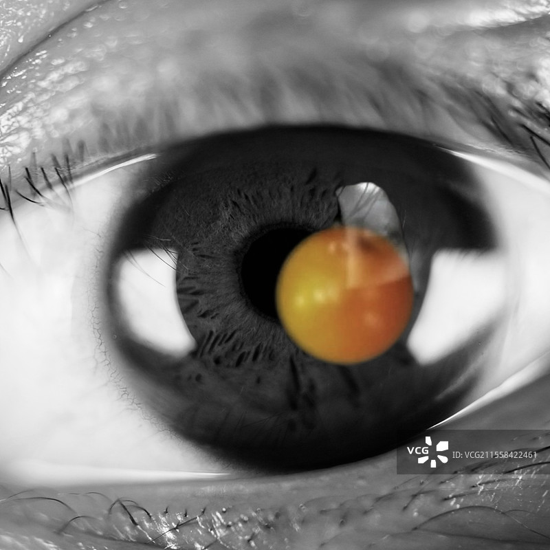 《黑色柳丁》图片素材