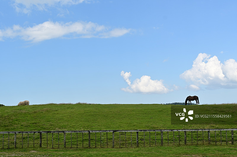 bell rock图片素材