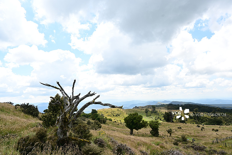 bell rock图片素材