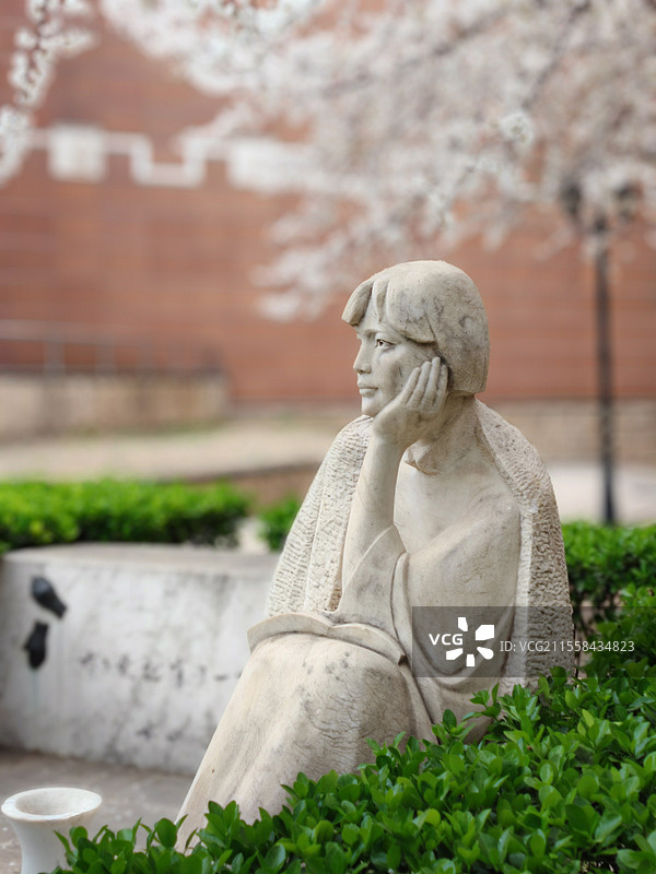 中国现代文学馆的著名女作家冰心的雕像 ，背景是烂漫樱花图片素材