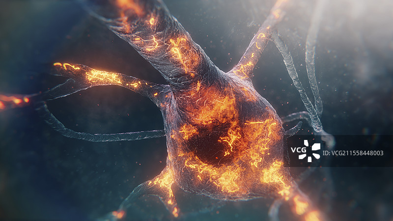 Tau和神经纤维缠结插图图片素材