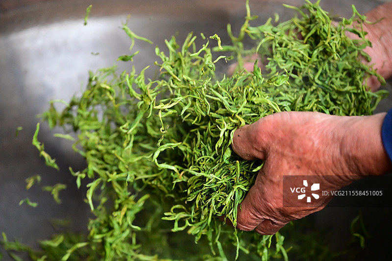 炒茶特写图片素材