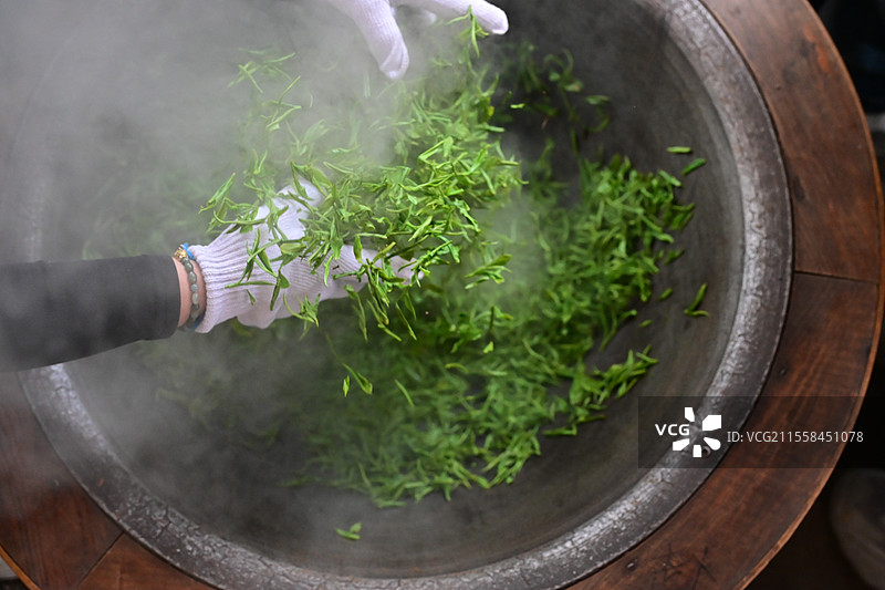 炒茶特写图片素材