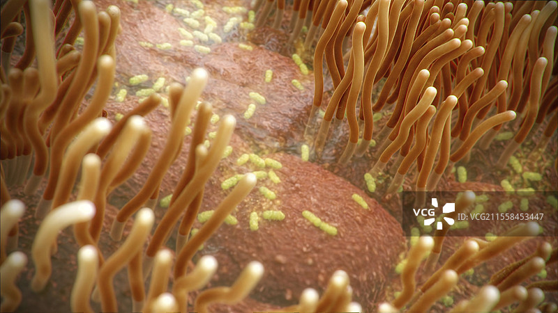 百日咳插图图片素材