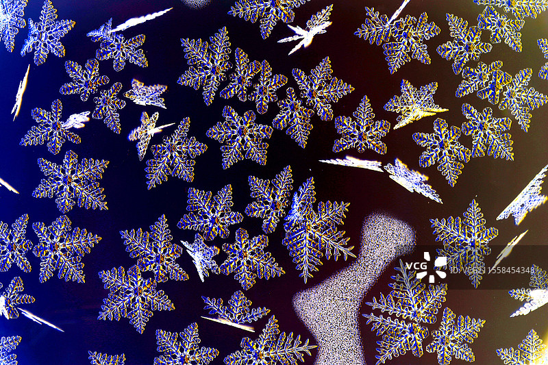 雪晶体在近距离生长，光学显微镜图像图片素材