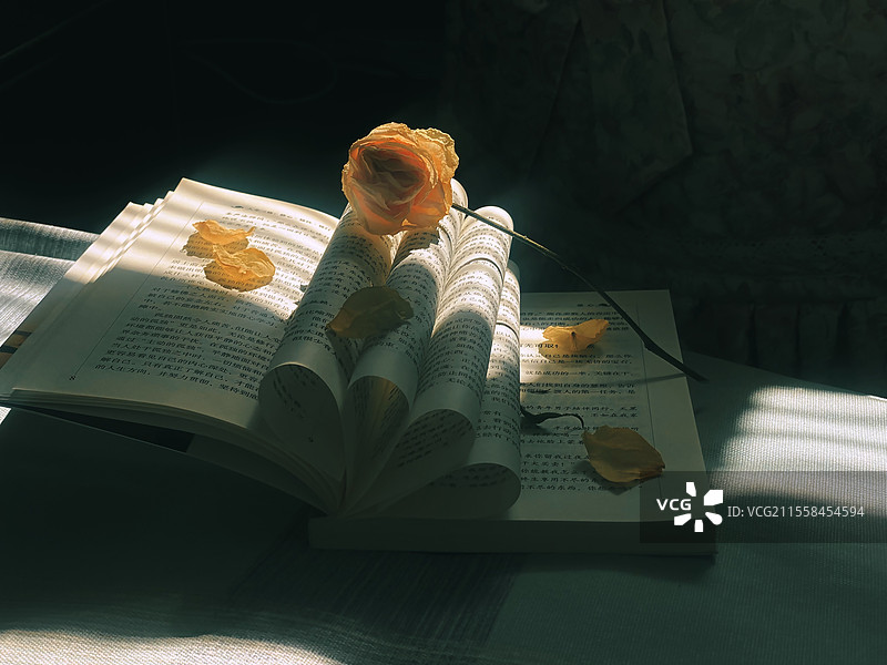 知遇时光图片素材