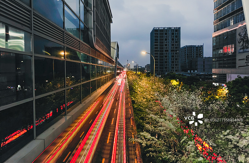 宁波大学旁的樱花图片素材