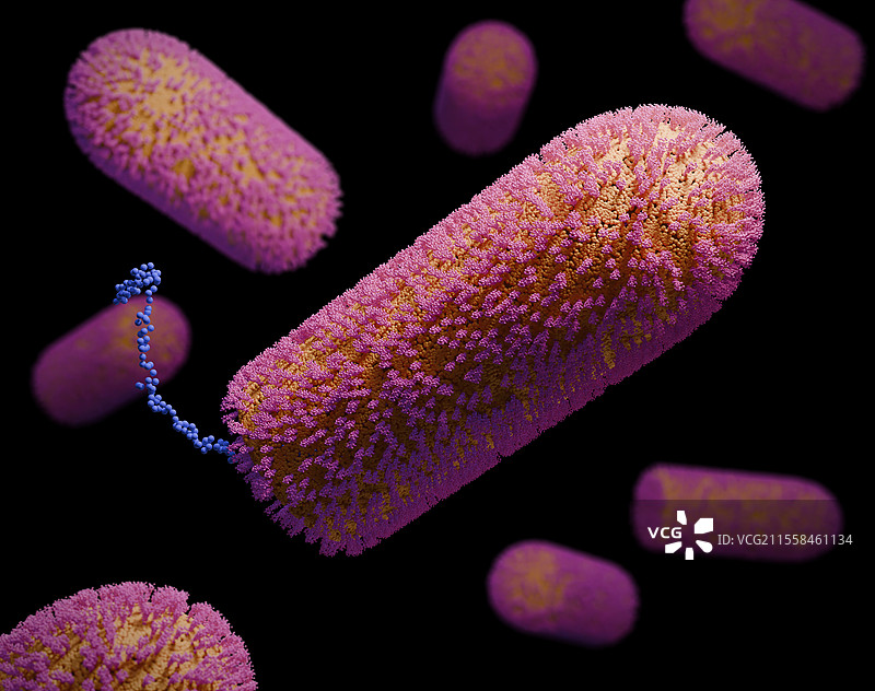 Chandipura病毒颗粒插图图片素材