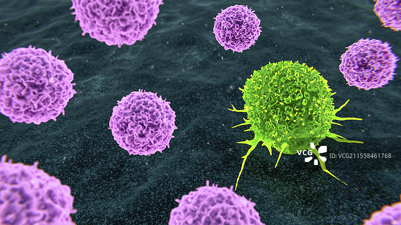 癌症治疗的细胞免疫疗法插图图片素材