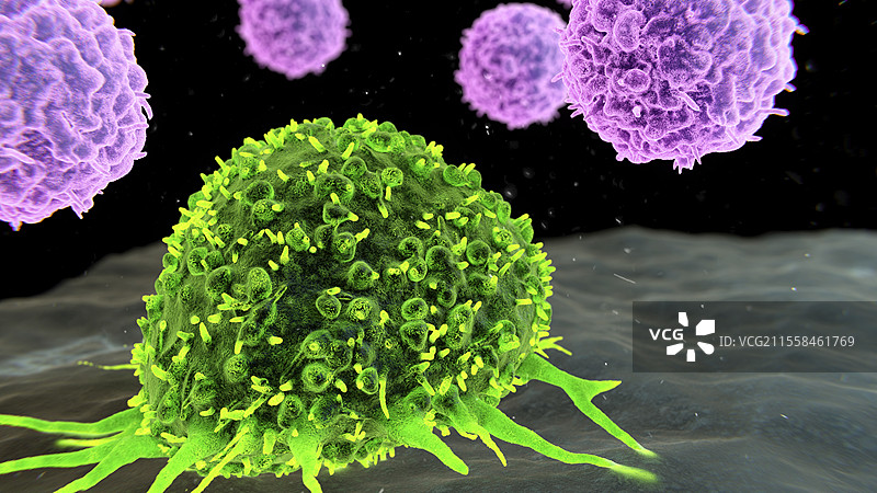 癌症治疗的细胞免疫疗法插图图片素材