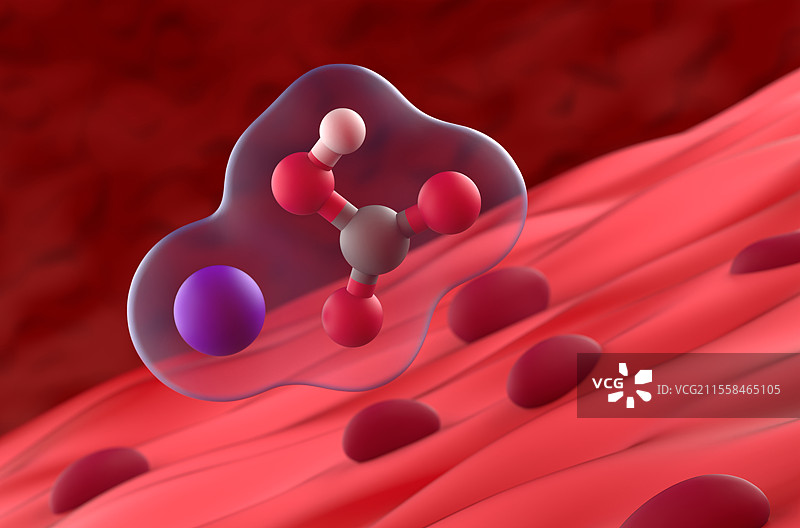 碳酸氢钠与肌肉的插图图片素材