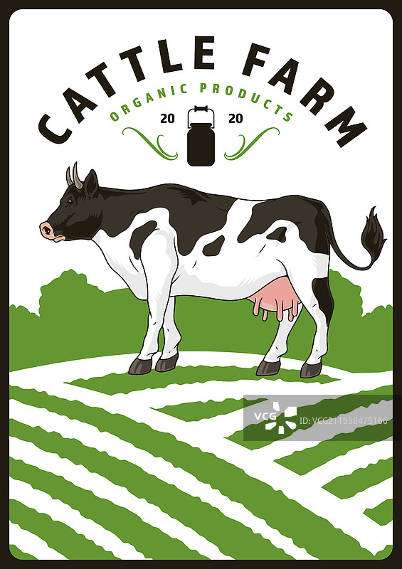 有机产品和牛的牧场图片素材