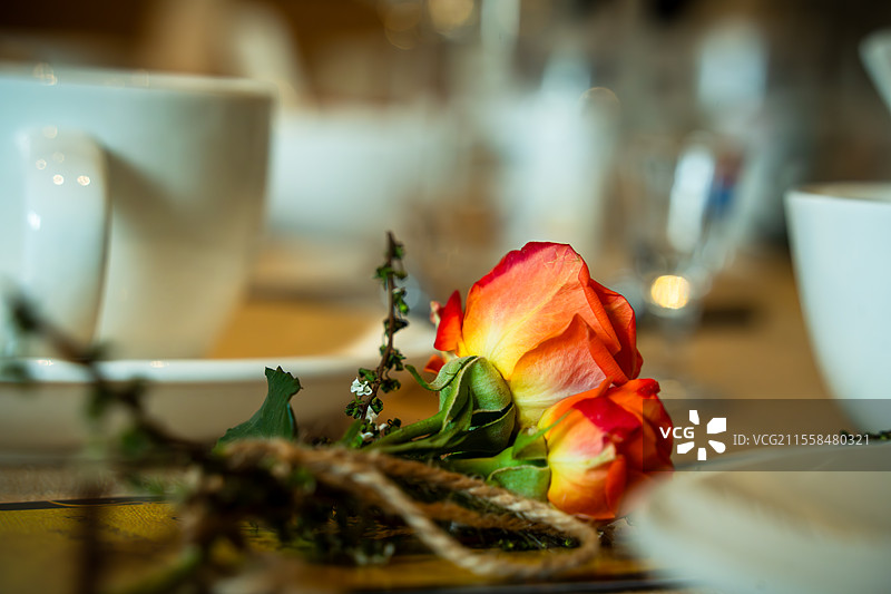 餐桌上的花图片素材