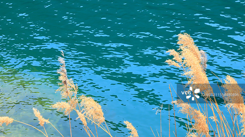 北京的翡翠湖图片素材