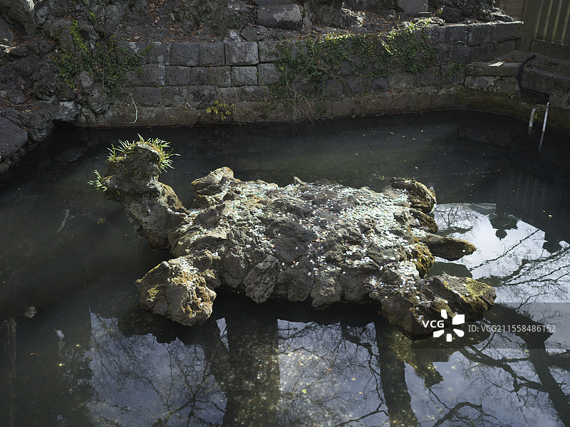 金鱼池图片素材