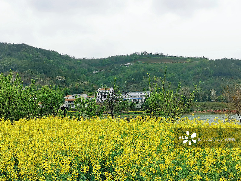 湖北“小婺源”雨中沼山村图片素材