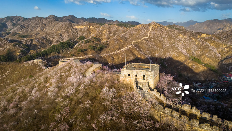 春天桃花盛开的北京延庆龙泉峪长城图片素材