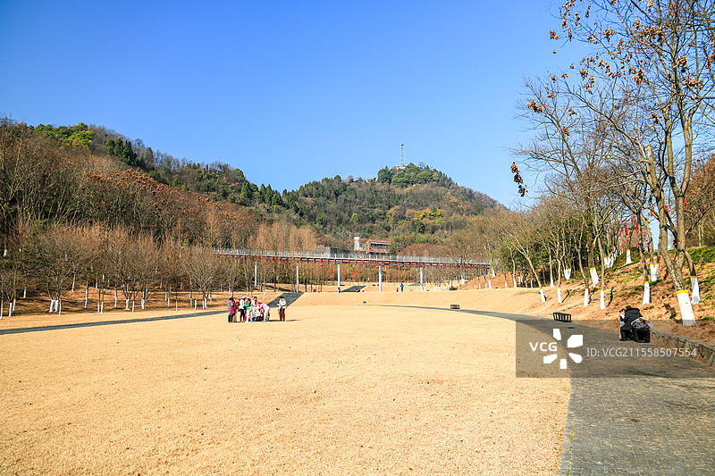 春天湖北宜昌磨基山森林公园风景图片素材