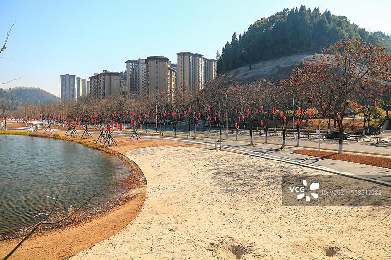 春天湖北宜昌磨基山森林公园风景图片素材