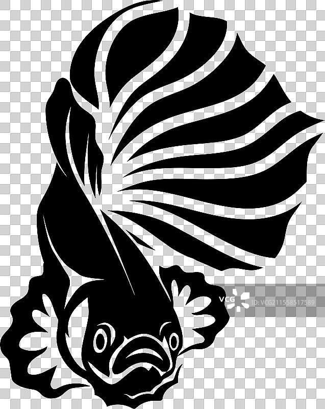 鱼类动物水生标志斗鱼设计与图片素材