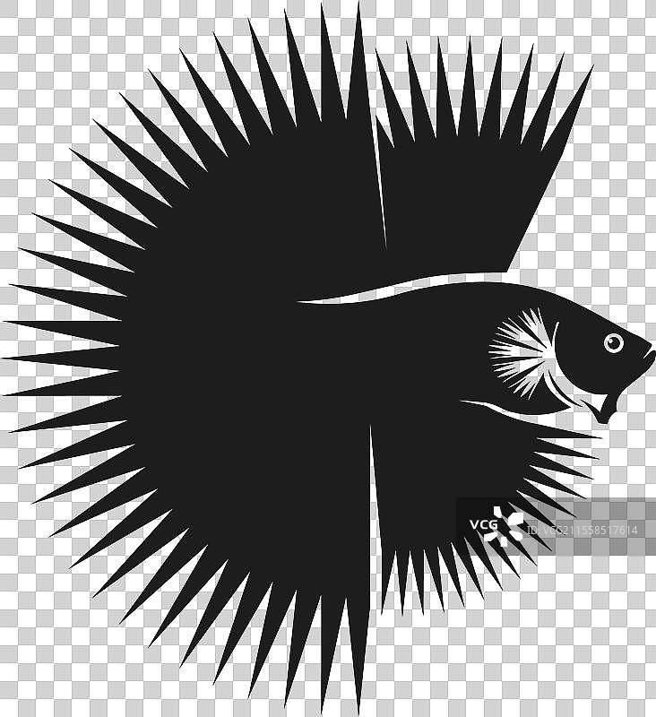 鱼类动物水生标志斗鱼设计与图片素材