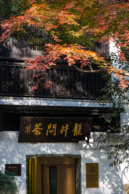 龙井问茶图片素材