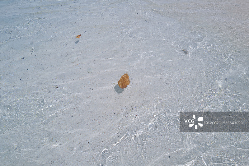 泰国安达曼海斯米兰群岛的果冻海风光图片素材