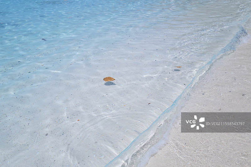 泰国安达曼海斯米兰群岛的果冻海风光图片素材