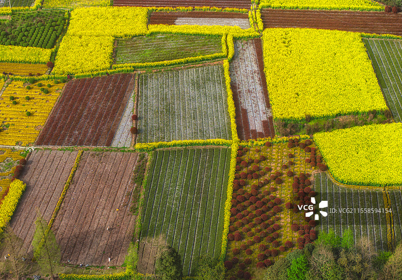 中国四川成都都江堰五彩的农田航拍图图片素材