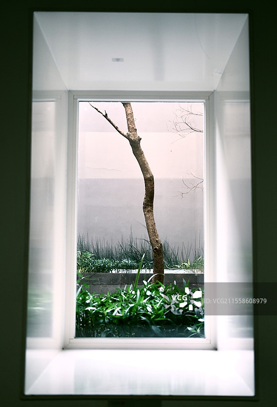 深圳大芬油画村 艺术展 窗外的一颗树图片素材