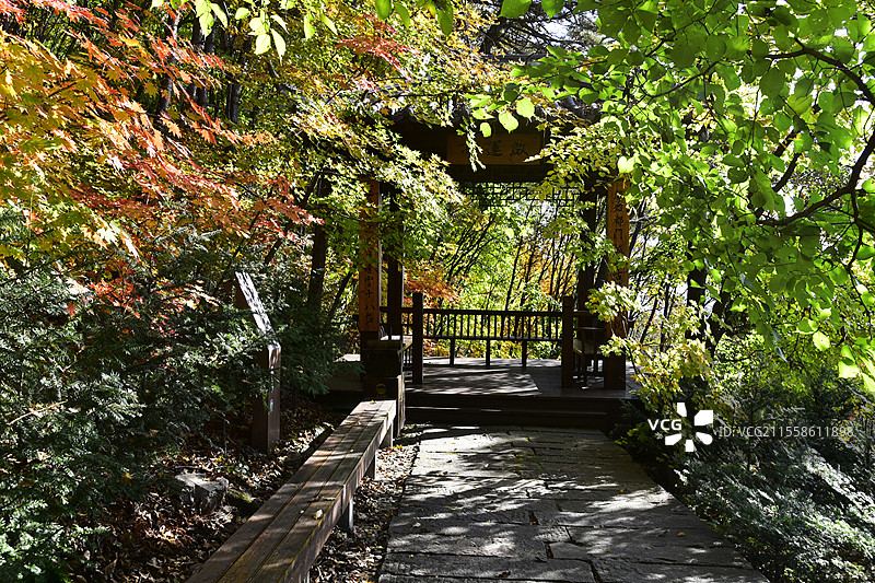 辽宁省本溪市五女山景区秋天枫叶红叶秋景图片素材