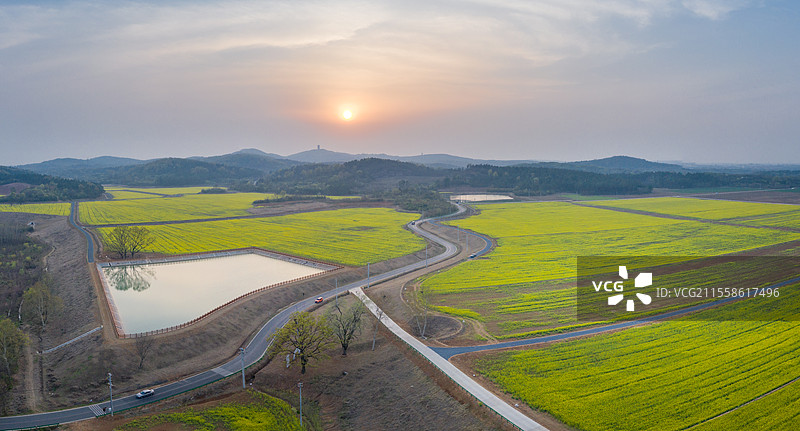肥西县紫蓬镇罗坝村油菜花海美景图片素材