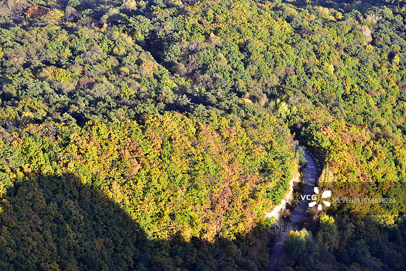 辽宁省本溪市五女山景区秋天树林彩林秋景图片素材